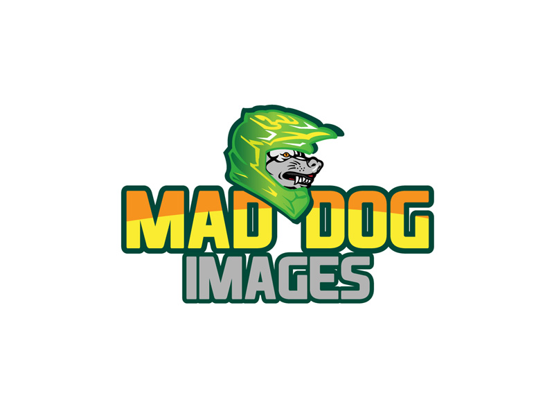 Logo Design by anushka_snigdha for this project | Design #5035311