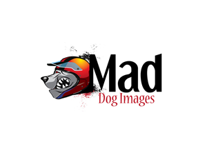 Logo Design by anushka_snigdha for this project | Design: #5035313