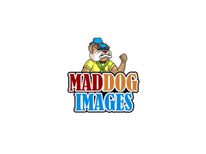 Logo Design by anushka_snigdha for this project | Design: #5035320