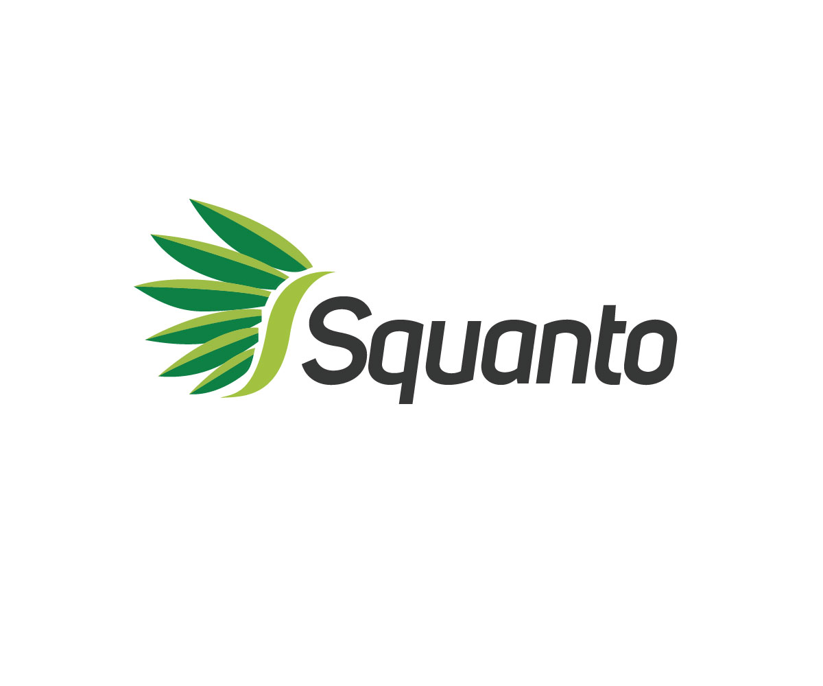 Logo Design by dbdesignsolutions for Squanto Limited | Design #5056524