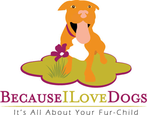 Logo Design by NiteOwl Designs