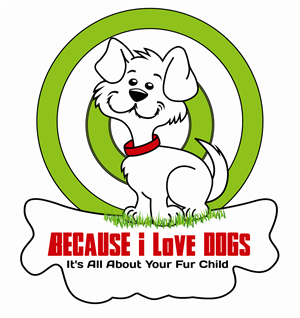 Logo Design by Sunny