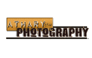 Logo Design by Johnson's Productions