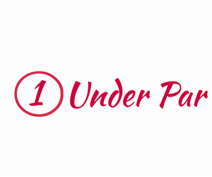 Logo Design by Nick Gaudi for this project | Design: #5035908