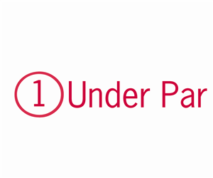 Logo Design by Nick Gaudi for this project | Design: #5035911