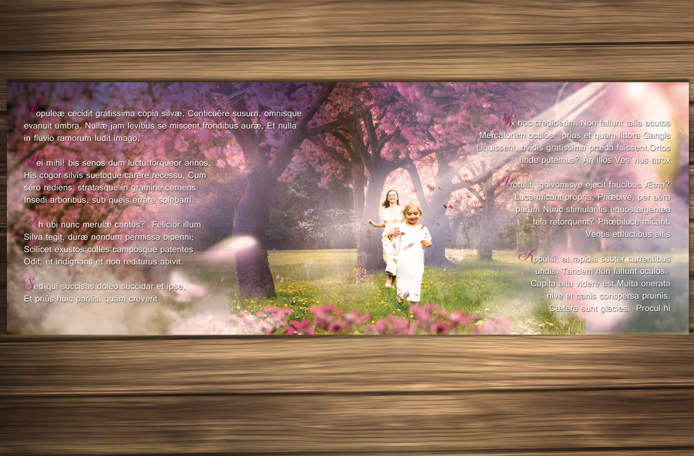 Design Graphique par Vixer pour ce projet | Design #5168338