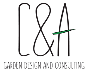 Logo Design by zakharsmirnofff