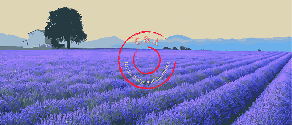 Logo Design by Romain_Remazeilles for this project | Design #5127195