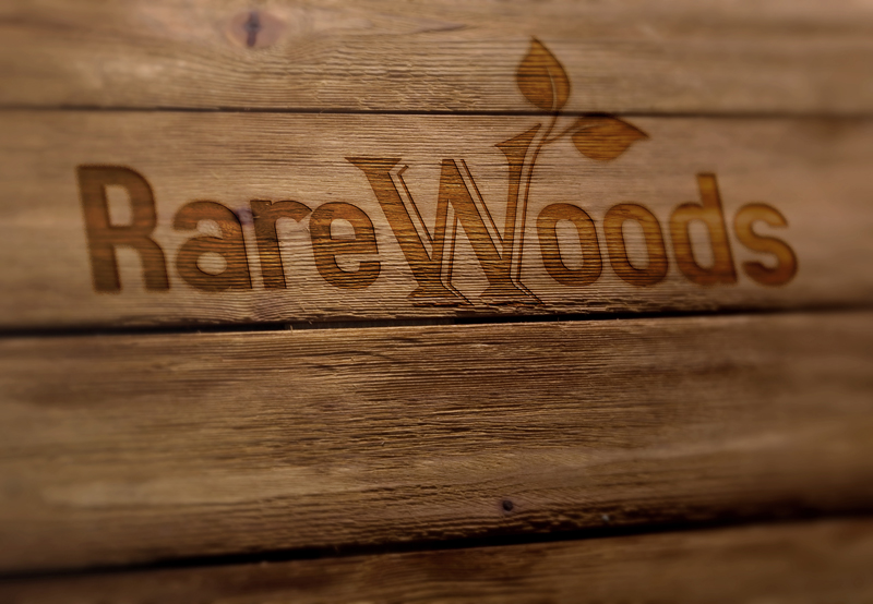 Diseño de Logo por Memorylane para este proyecto | Diseño #5134838