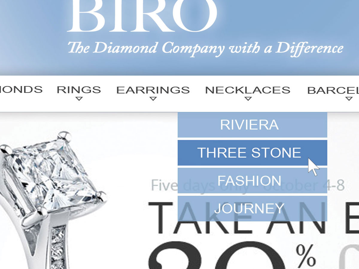 Web Design by Ali for this project | Design #5047588
