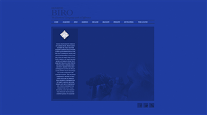 Web Design by rmdsgn
