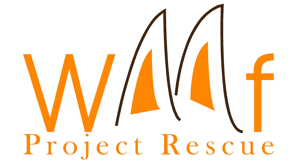 Logo Design by KGMDesign for The Woof Project | Design #5057172