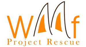 Logo Design by KGMDesign