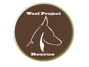 Logo Design by BC Designs