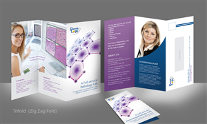 Brochure Design by Diseno Advertising Pte Ltd for DermLogic, PLLC, PA | Design: #1437853