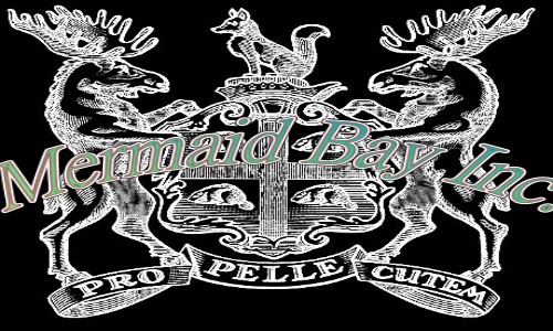 Logo Design by Jennifer Bowman for Mermaid Bay Inc. | Design #5068480