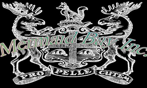Logo Design by Jennifer Bowman