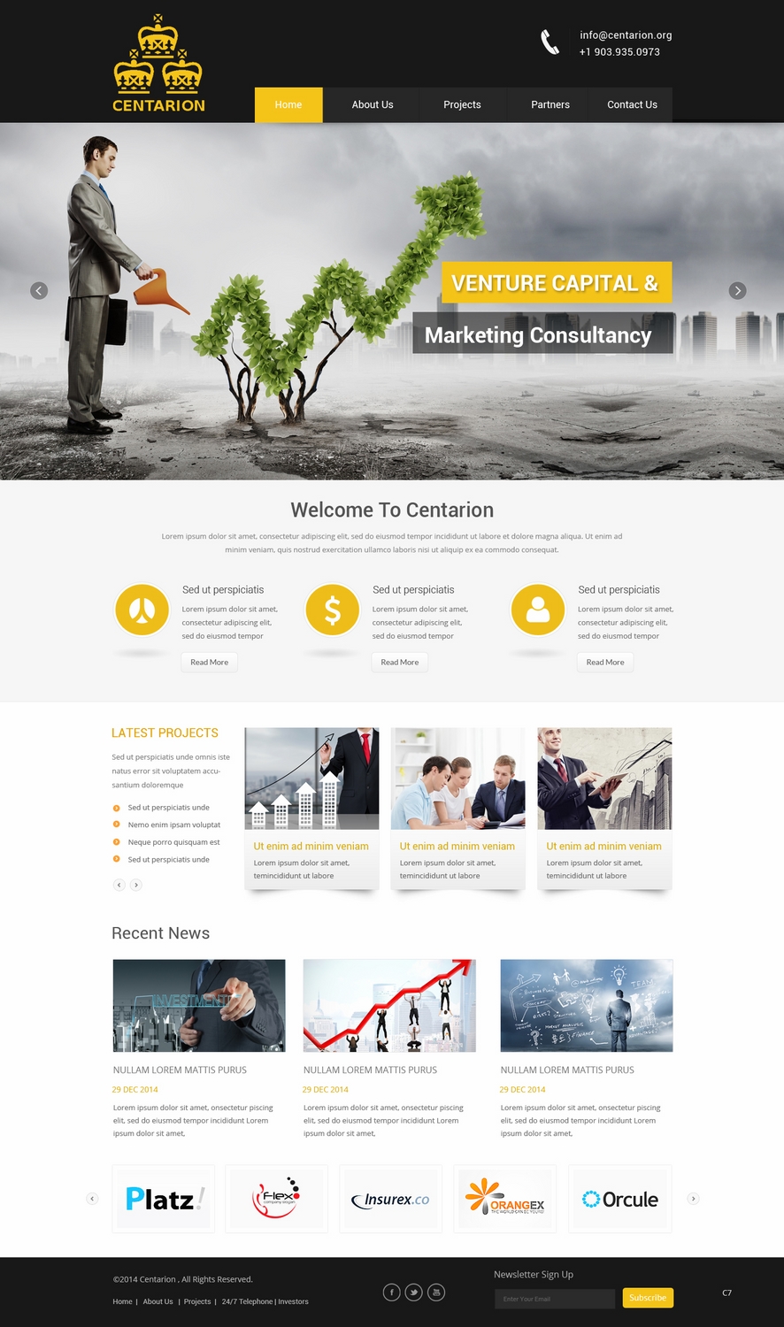 Wordpress Design by pb for Centarion Group | Design #5147036