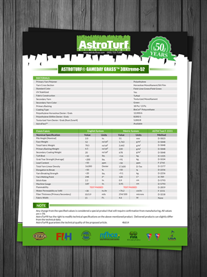 Flyer Design by debdesign