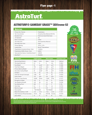 Flyer Design by meet007