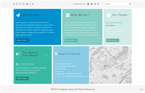 Wordpress Design by pb