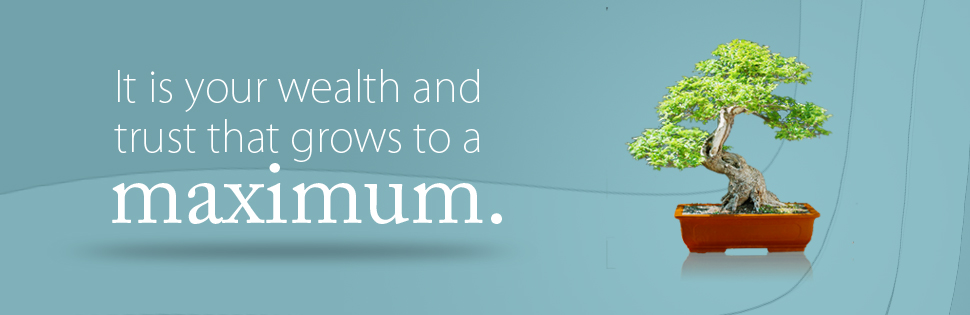 Illustration Design by SparknBeyond for James Leard | Design #256375