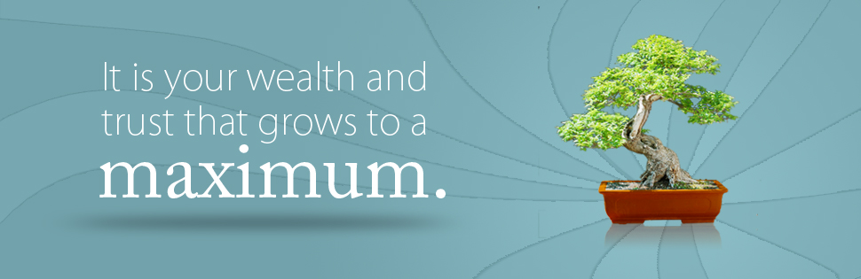 Illustration Design by SparknBeyond for James Leard | Design #256384