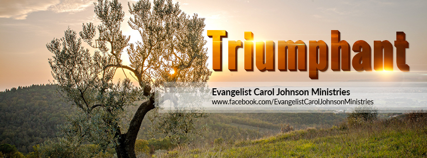 Facebook Design by Sourav Sen for Carol Johnson Ministires Inc. | Design #5145507