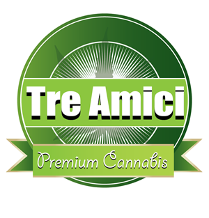 Graphic Design by Juan Marte