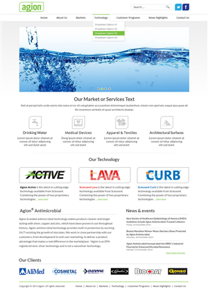 Diseño Web por Nelsur para este proyecto | Diseño: #5092748