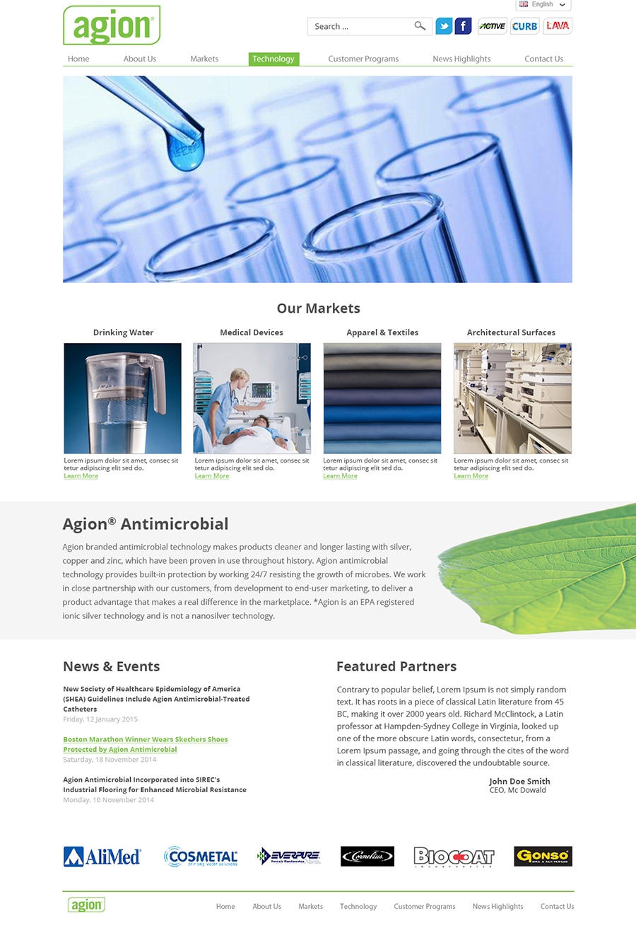 Web Design by Nelsur for this project | Design #5259260