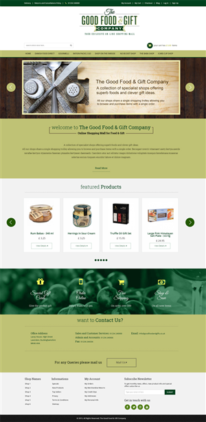 Web Design by Expert Designer