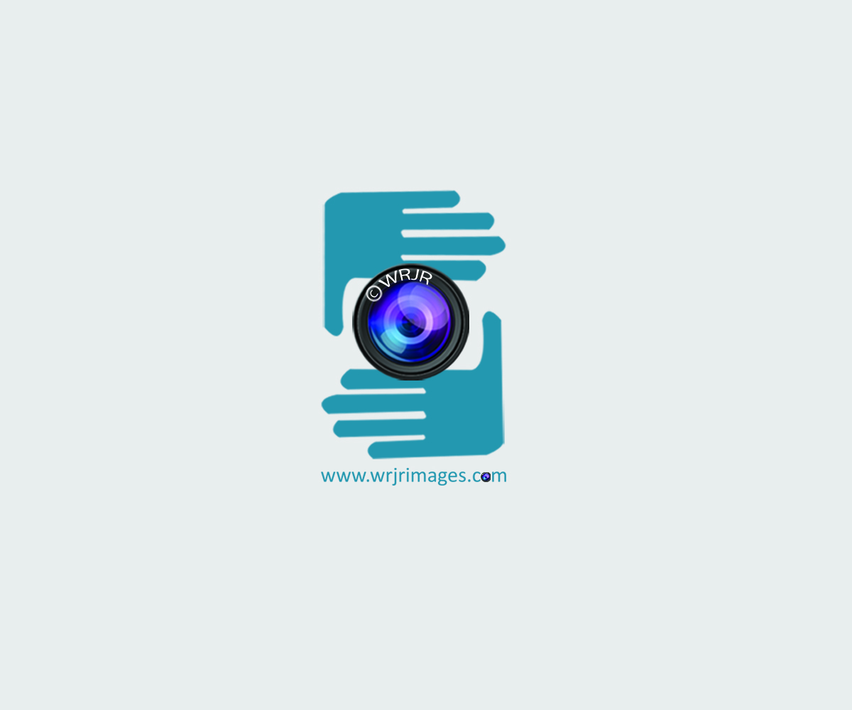 Logo-Design von TGDesigns für dieses Projekt | Design #5116238
