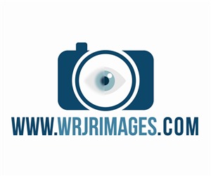 Logo Design by OUT of BOX.d