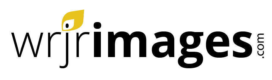 Logo-Design von Himanshi10 für dieses Projekt | Design #5078612