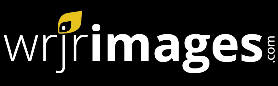 Diseño de Logo por Himanshi10 para este proyecto | Diseño #5078613