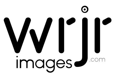 Logo Design by Himanshi10 for this project | Design #5078615