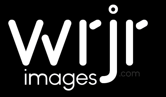 Diseño de Logo por Himanshi10 para este proyecto | Diseño #5078622