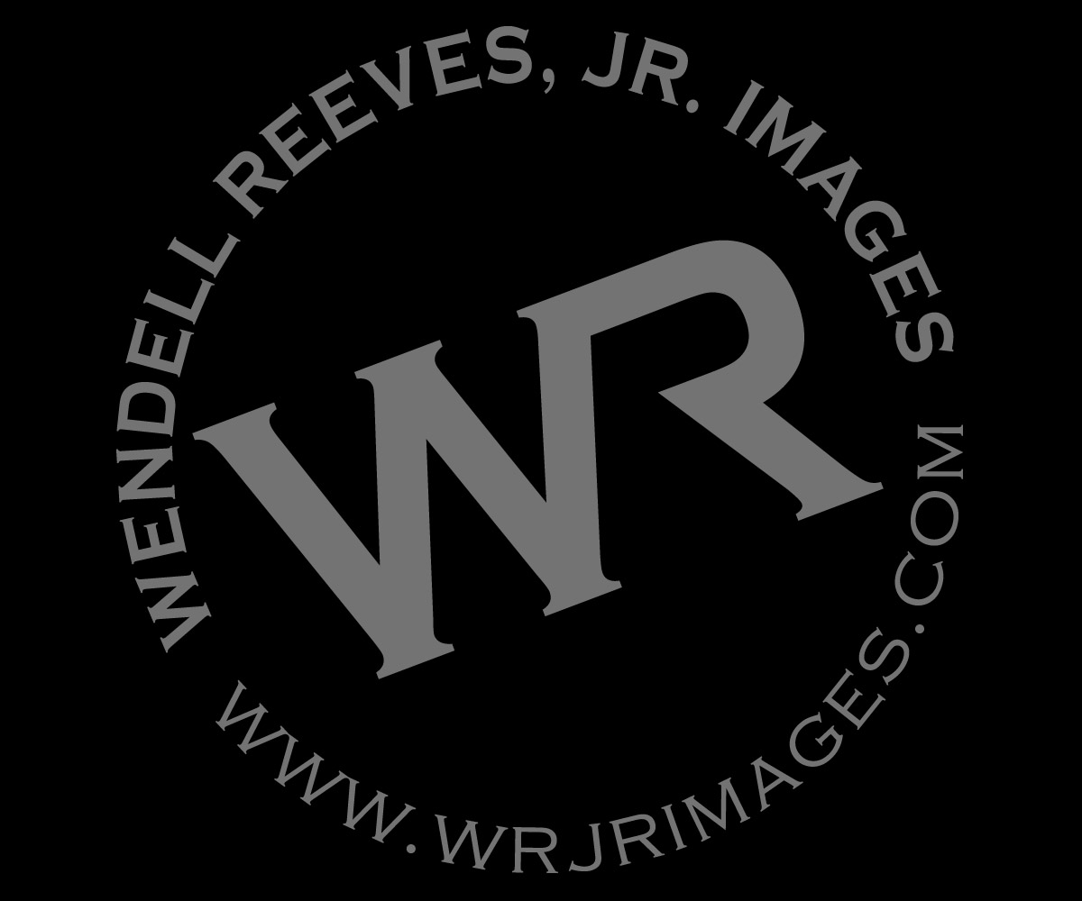 Logo Design by Martin Design for this project | Design #5086036