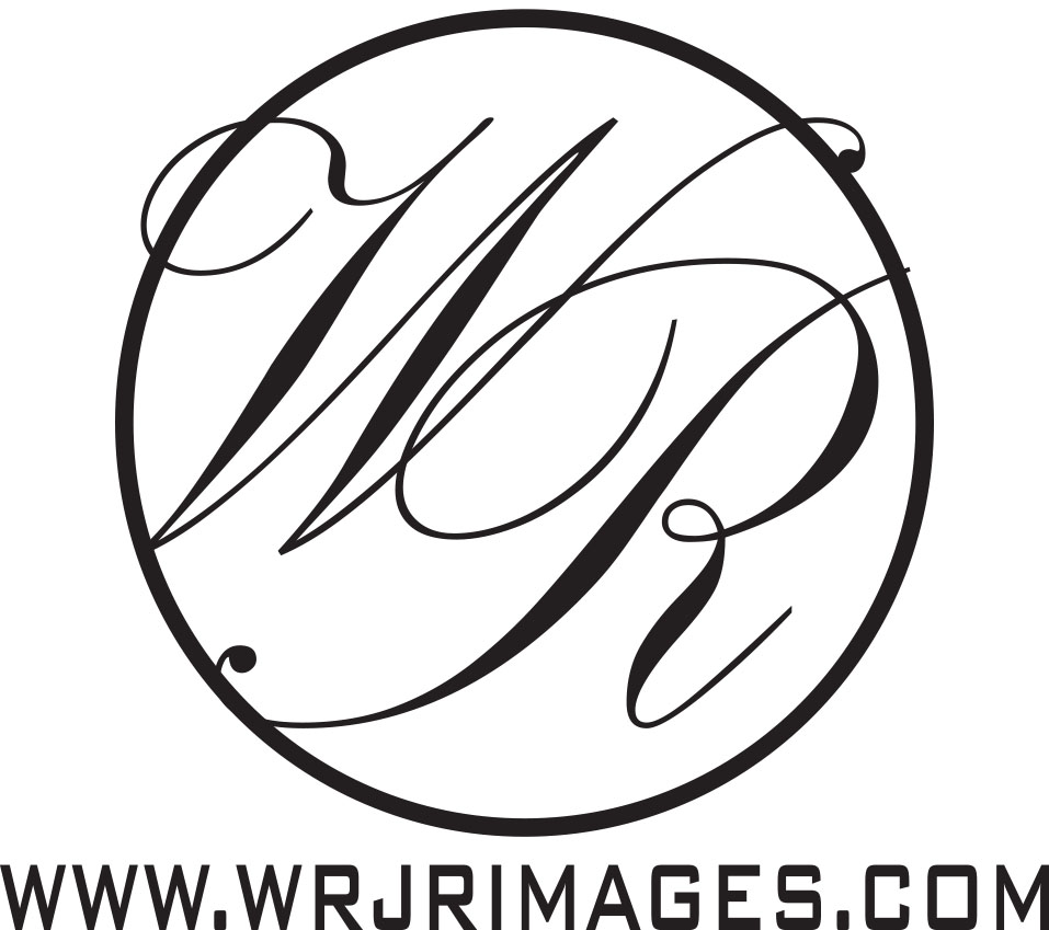 Logo-Design von Ljones für dieses Projekt | Design #5094999