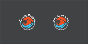 Logo Design by AssertSoft