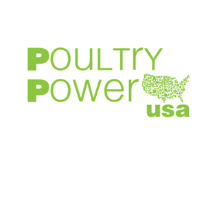 Logo Design by Vicky Frenkel Studio
