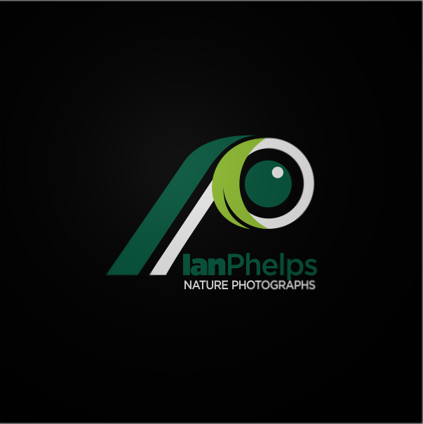 Diseño de Logo por ozloya para este proyecto | Diseño #1450374