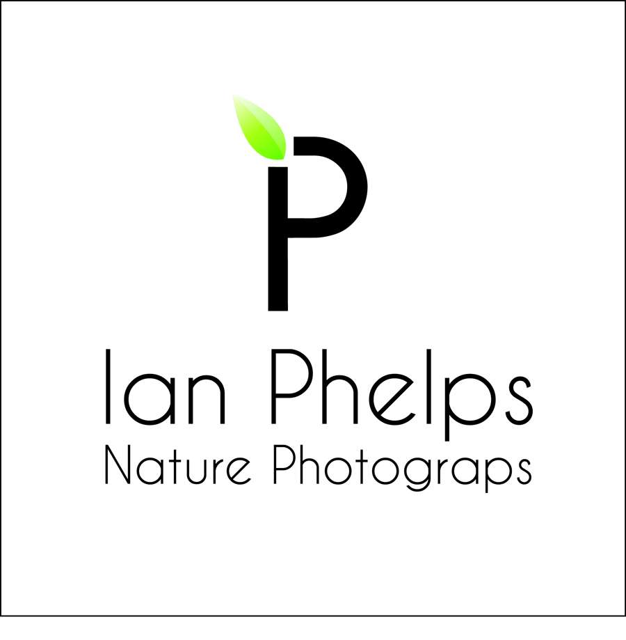 Logo Design by MeganAdamski for this project | Design #1426818