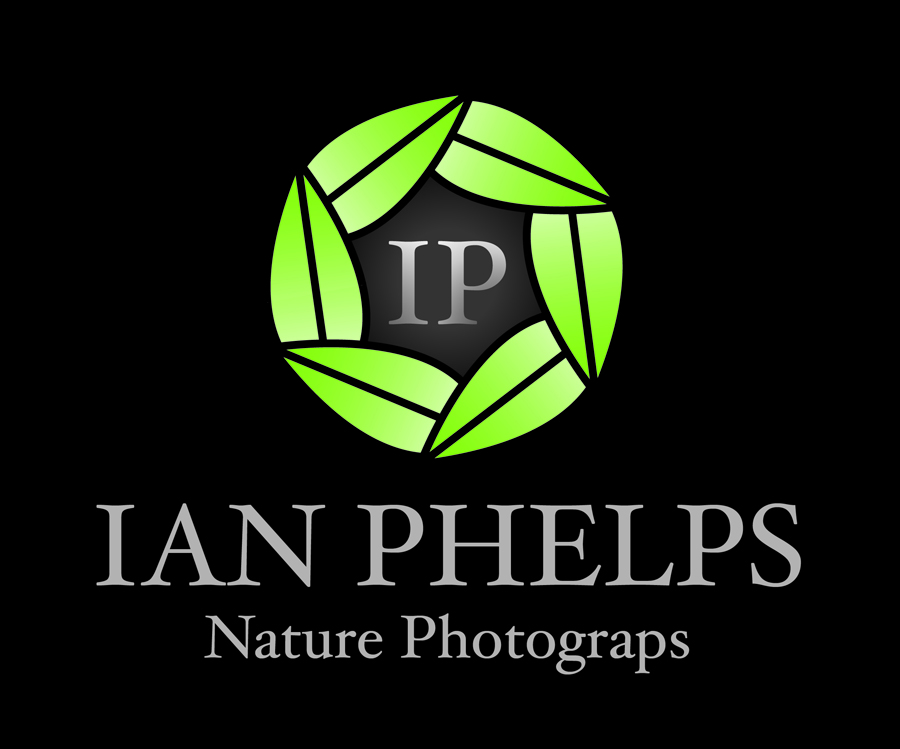 Logo Design by MeganAdamski for this project | Design #1433538