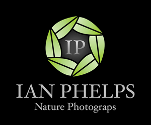 Logo Design by MeganAdamski for this project | Design: #1433538