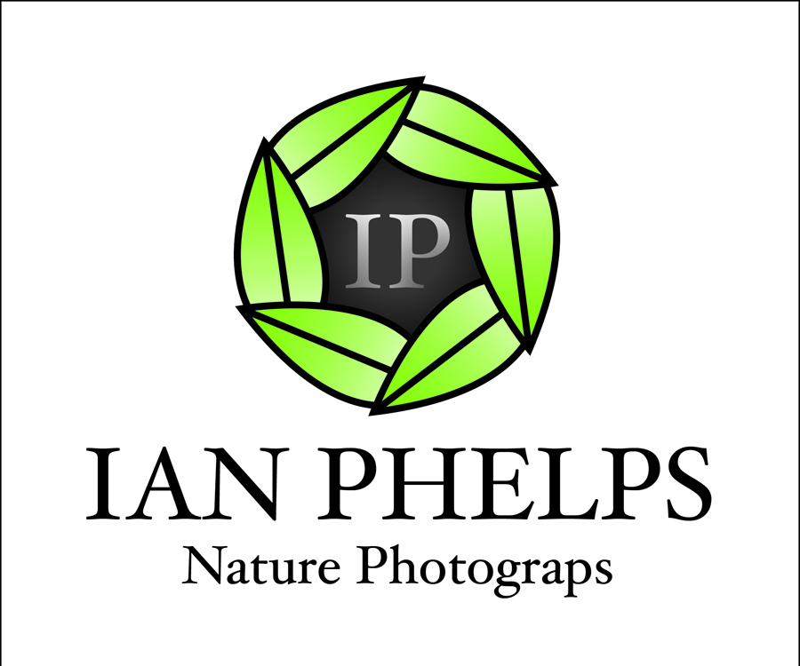 Logo Design by MeganAdamski for this project | Design #1433539