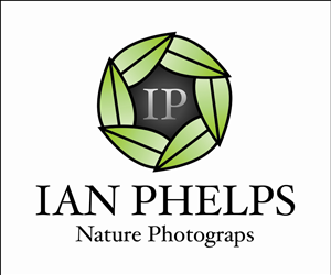 Logo Design by MeganAdamski for this project | Design: #1433539