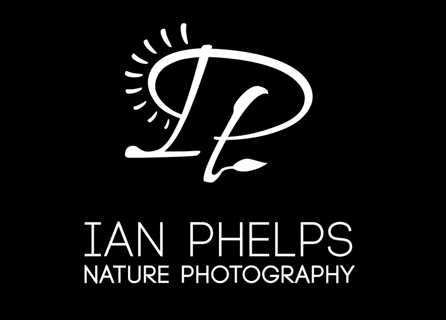 Logo Design by MeganAdamski for this project | Design #1433777