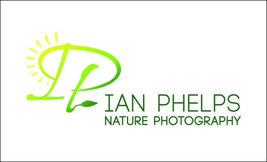 Logo Design by MeganAdamski for this project | Design #1433778